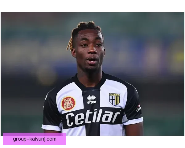 拉德尼基KG102-81赫莫法姆在现代应用中的性能与发展分析